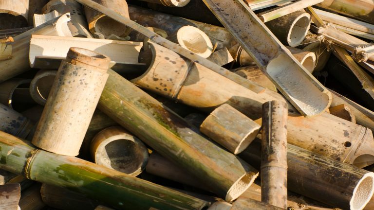 Bamboo Waste